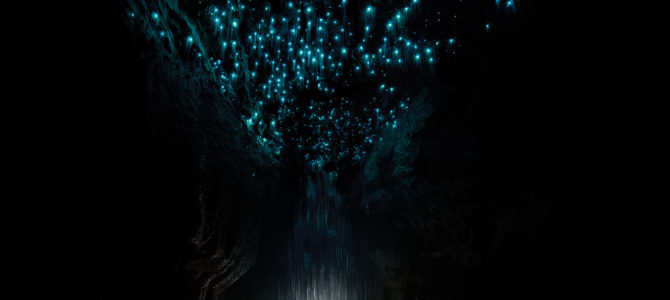 Underground Stars: Waitomo Cave Diving