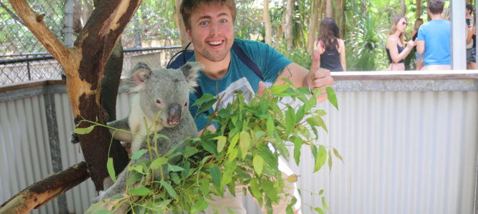 Cruising and Koalas On Magnetic Island!